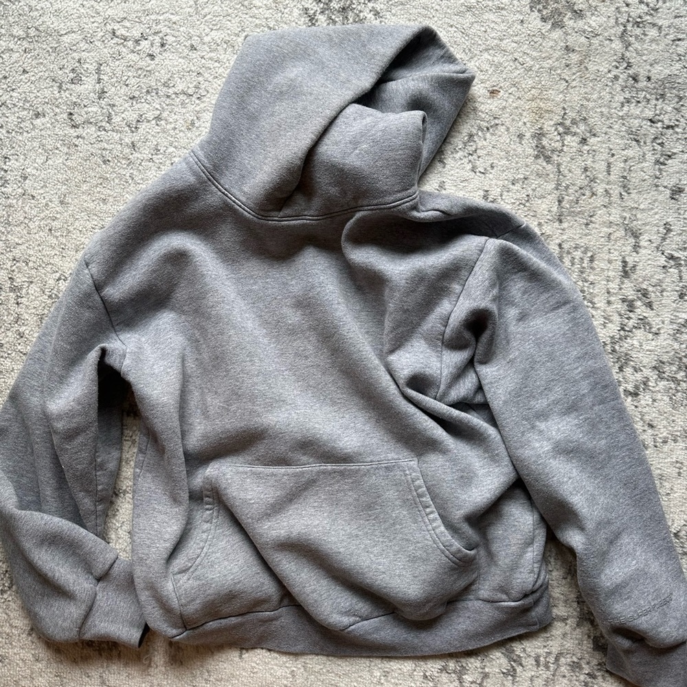 Aritzia TNA hoodie